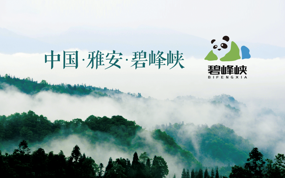 权门国际·(中国游)官方网站